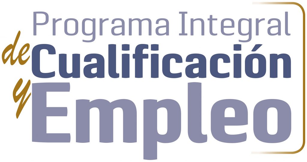 Curso de gestión contable del PICE